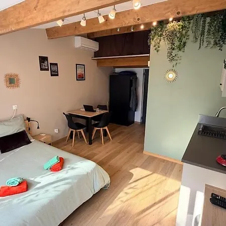 Avec Jardin Prive Et Parking Gratuit * Mudaison