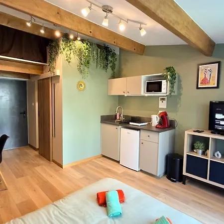 Avec Jardin Prive Et Parking Gratuit Daire Mudaison